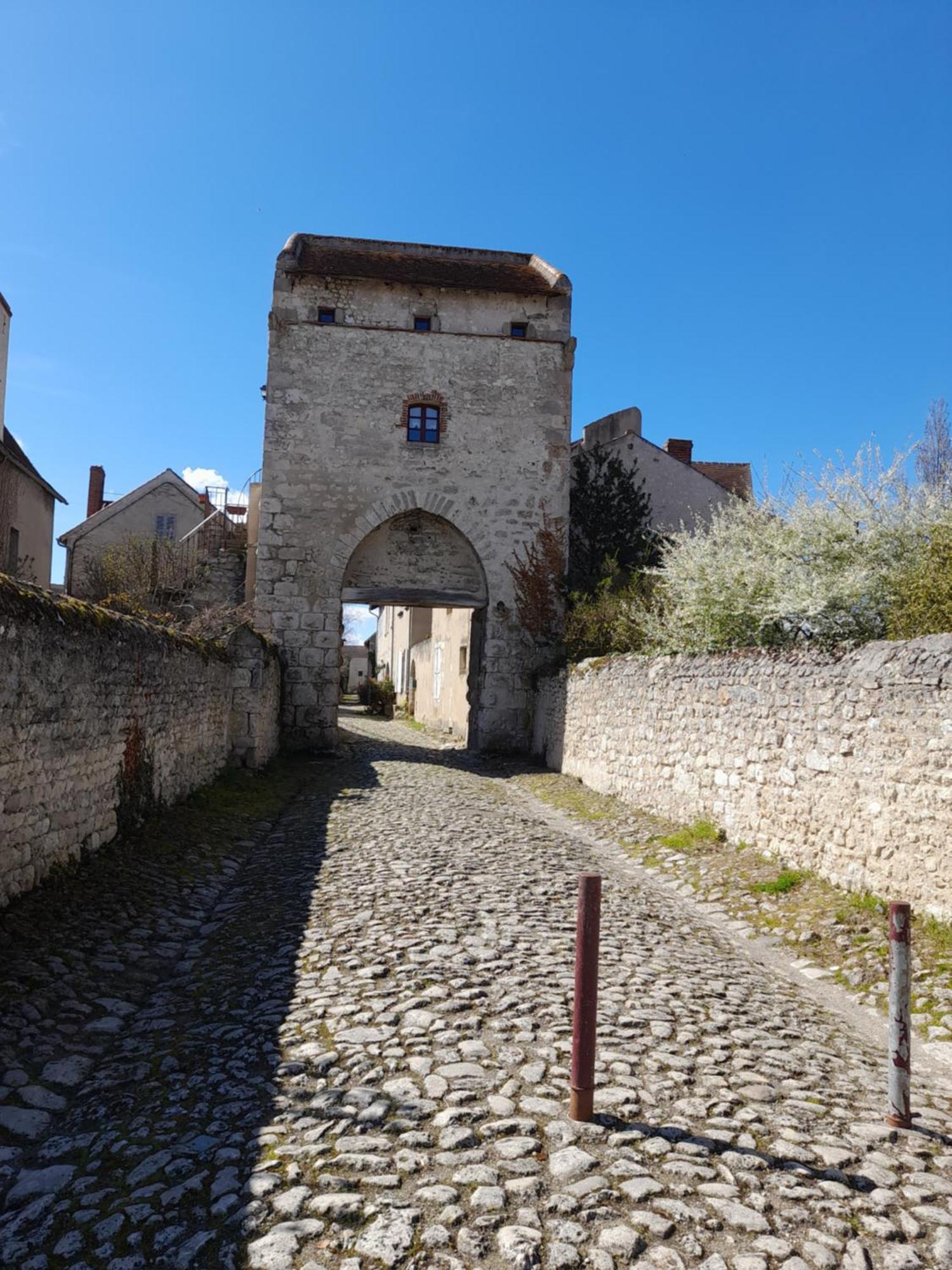 La Maison Du Prince De Conde Charroux-dʼAllier エクステリア 写真