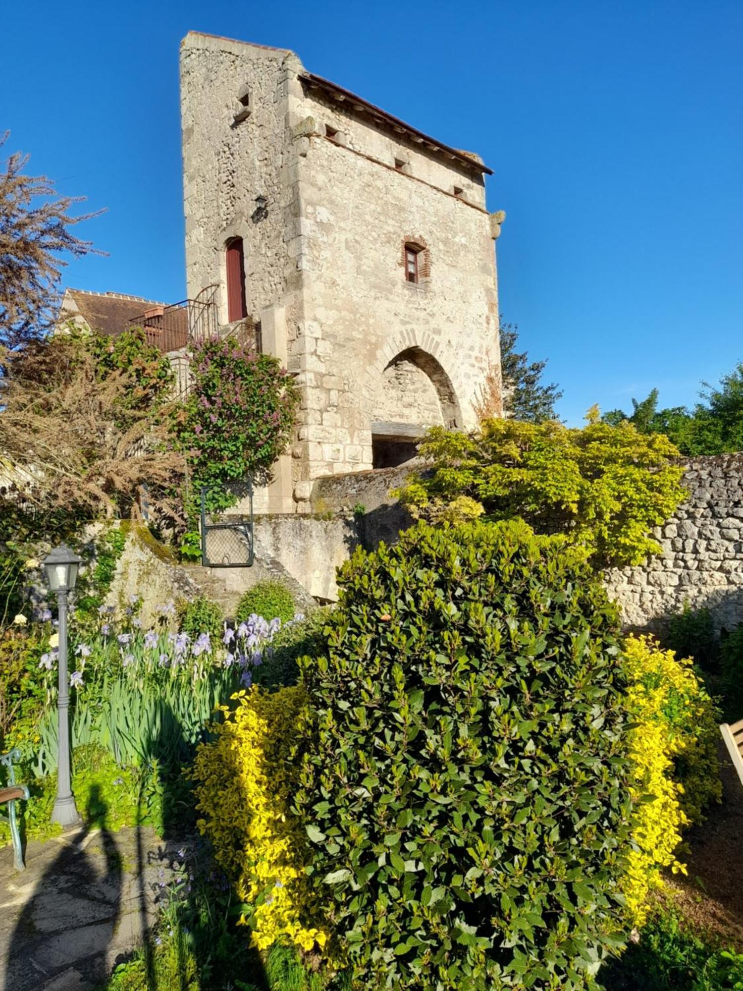 La Maison Du Prince De Conde Charroux-dʼAllier エクステリア 写真