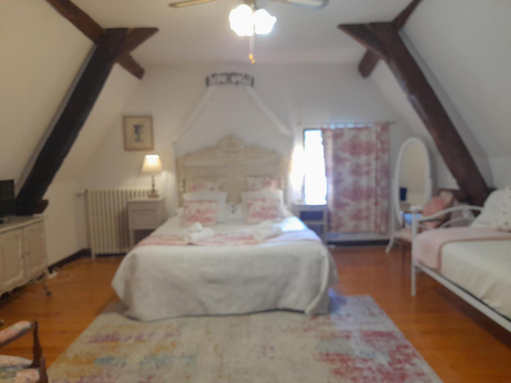 La Maison Du Prince De Conde Charroux-dʼAllier エクステリア 写真
