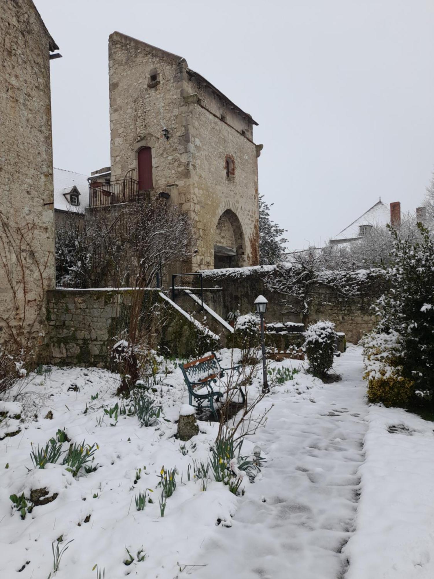 La Maison Du Prince De Conde Charroux-dʼAllier エクステリア 写真